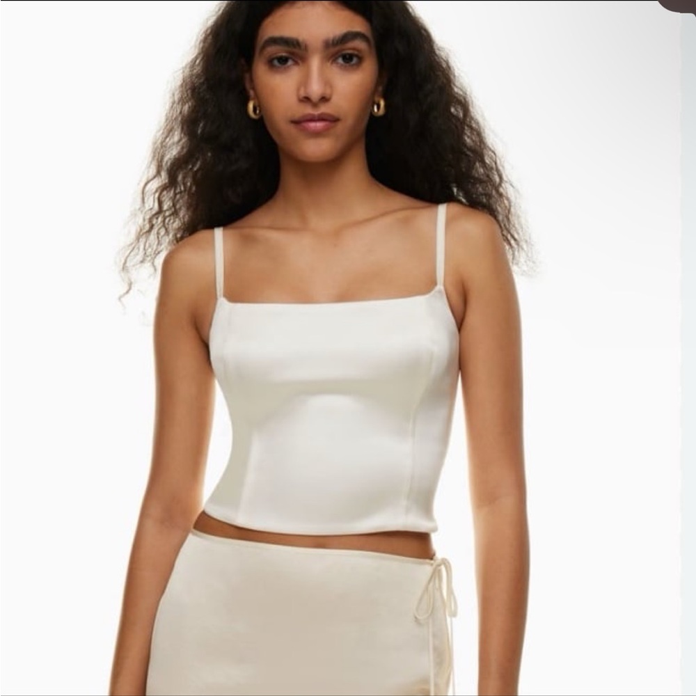 Aritzia Top